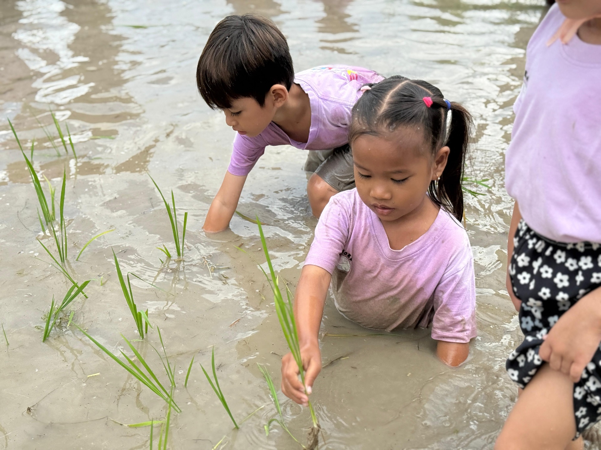 Kejora Foundation Karimunjawa students