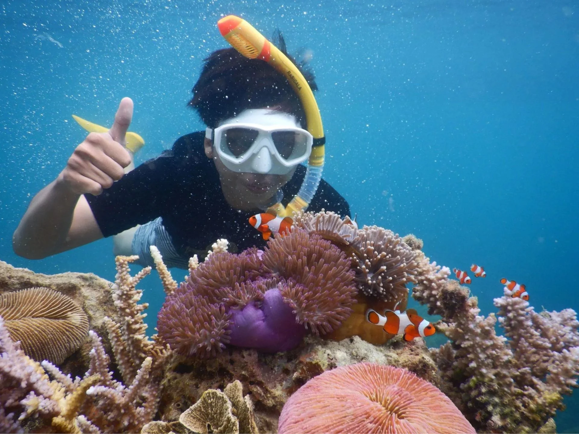 Snorkeling above pristine reefs in Karimunjawa